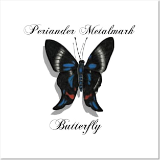 Periander Metalmark Butterfly Labeled Posters and Art